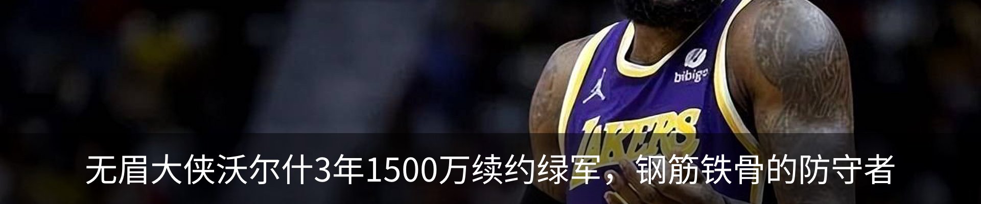新闻动态