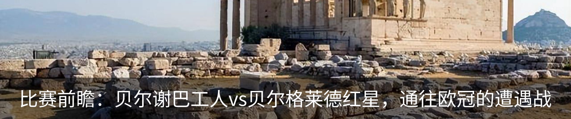 新闻动态