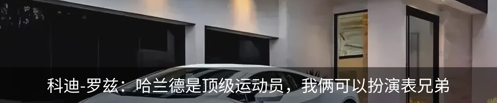 新闻动态