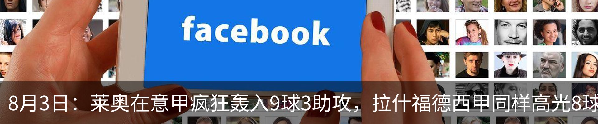 新闻动态